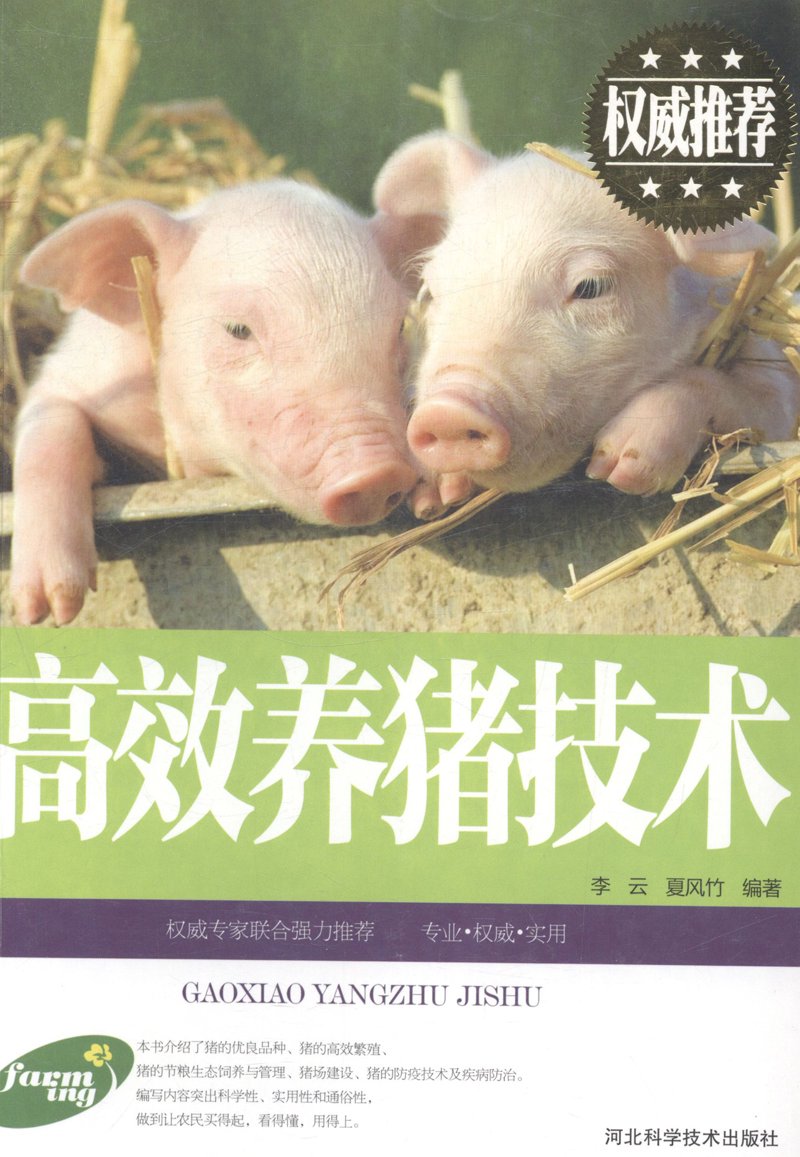运动服:打造专属风采